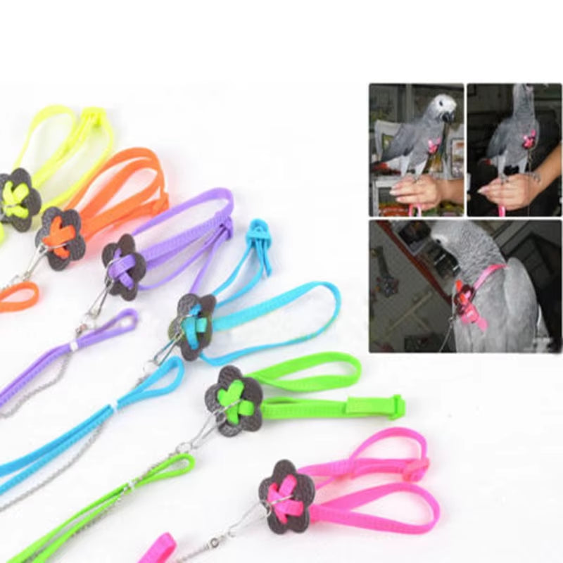 Colorful Parrot Bird Collar Harness Adjustable Hamster Turtle Lizard Traction Rope Reins 8-Shaped Collar Pet Strap Leash