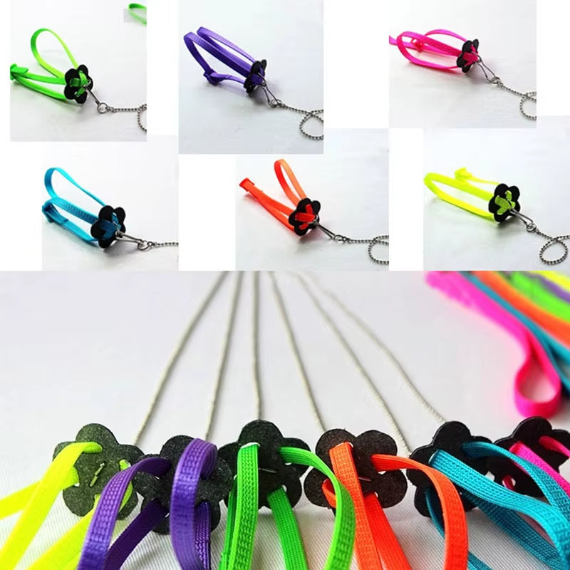 Colorful Parrot Bird Collar Harness Adjustable Hamster Turtle Lizard Traction Rope Reins 8-Shaped Collar Pet Strap Leash